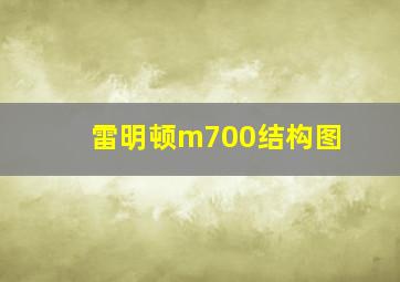 雷明顿m700结构图