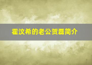 霍汶希的老公贺磊简介