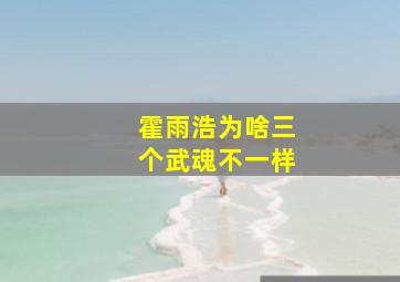 霍雨浩为啥三个武魂不一样