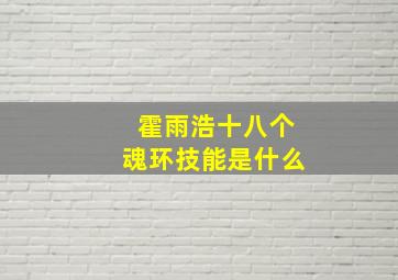 霍雨浩十八个魂环技能是什么