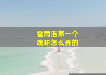 霍雨浩第一个魂环怎么弄的