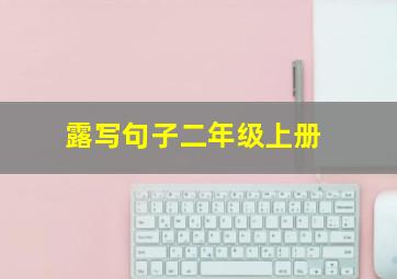 露写句子二年级上册