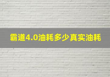 霸道4.0油耗多少真实油耗