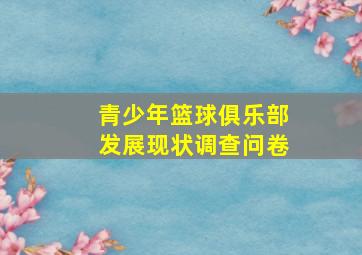 青少年篮球俱乐部发展现状调查问卷