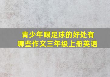 青少年踢足球的好处有哪些作文三年级上册英语