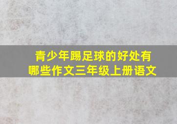 青少年踢足球的好处有哪些作文三年级上册语文