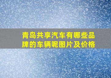 青岛共享汽车有哪些品牌的车辆呢图片及价格