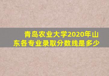 青岛农业大学2020年山东各专业录取分数线是多少