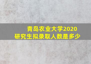 青岛农业大学2020研究生拟录取人数是多少