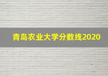 青岛农业大学分数线2020