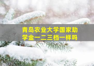 青岛农业大学国家助学金一二三档一样吗