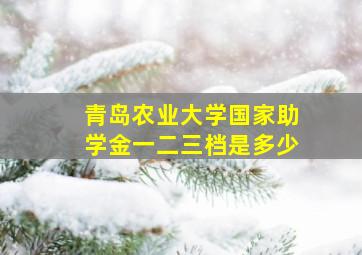 青岛农业大学国家助学金一二三档是多少