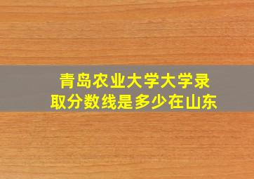 青岛农业大学大学录取分数线是多少在山东