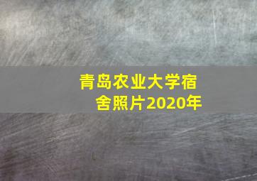 青岛农业大学宿舍照片2020年