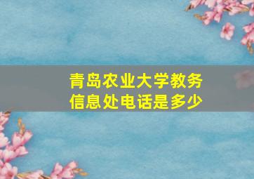 青岛农业大学教务信息处电话是多少