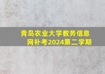 青岛农业大学教务信息网补考2024第二学期