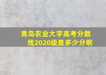 青岛农业大学高考分数线2020级是多少分啊