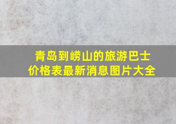 青岛到崂山的旅游巴士价格表最新消息图片大全