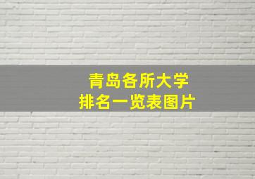 青岛各所大学排名一览表图片