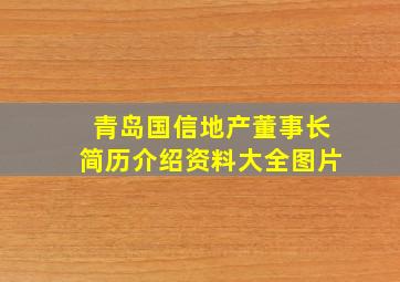 青岛国信地产董事长简历介绍资料大全图片