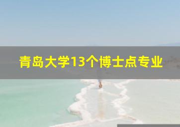 青岛大学13个博士点专业