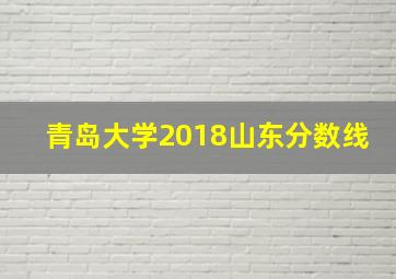 青岛大学2018山东分数线