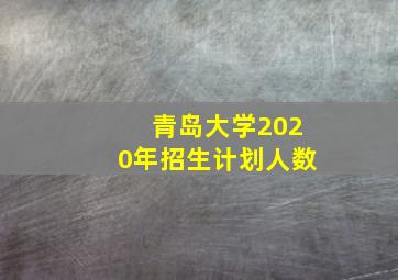 青岛大学2020年招生计划人数