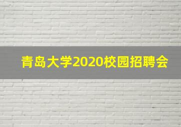 青岛大学2020校园招聘会