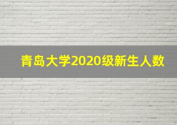 青岛大学2020级新生人数