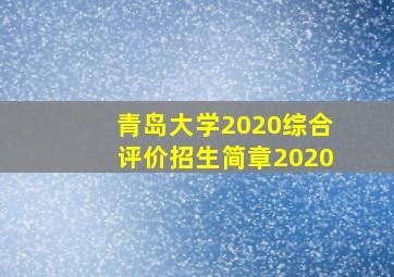 青岛大学2020综合评价招生简章2020