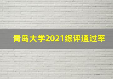 青岛大学2021综评通过率