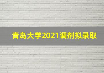 青岛大学2021调剂拟录取