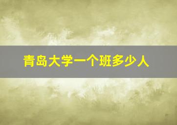 青岛大学一个班多少人