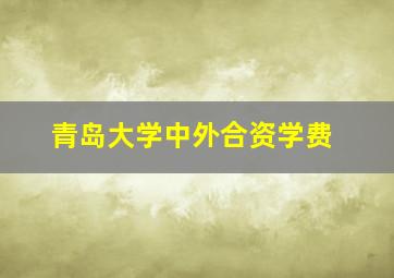 青岛大学中外合资学费