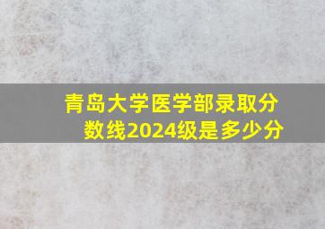 青岛大学医学部录取分数线2024级是多少分