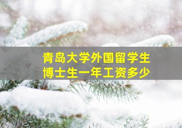 青岛大学外国留学生博士生一年工资多少