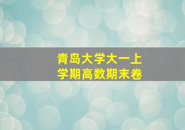 青岛大学大一上学期高数期末卷