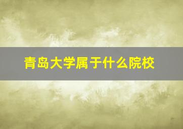 青岛大学属于什么院校