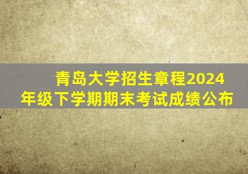 青岛大学招生章程2024年级下学期期末考试成绩公布