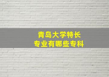 青岛大学特长专业有哪些专科