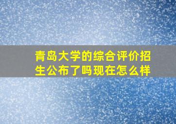 青岛大学的综合评价招生公布了吗现在怎么样