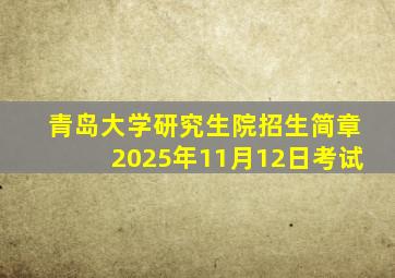 青岛大学研究生院招生简章2025年11月12日考试