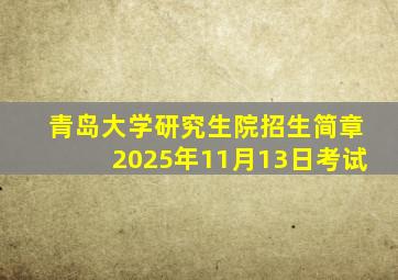 青岛大学研究生院招生简章2025年11月13日考试