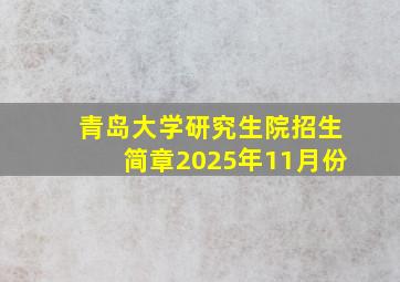 青岛大学研究生院招生简章2025年11月份