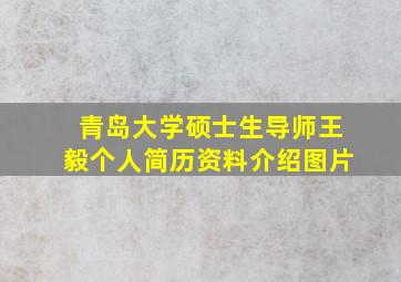 青岛大学硕士生导师王毅个人简历资料介绍图片