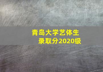 青岛大学艺体生录取分2020级