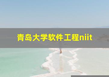 青岛大学软件工程niit