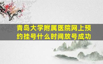 青岛大学附属医院网上预约挂号什么时间放号成功