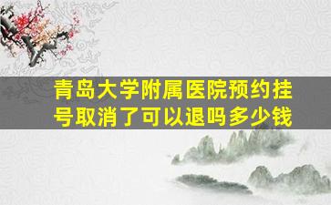 青岛大学附属医院预约挂号取消了可以退吗多少钱