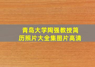 青岛大学陶强教授简历照片大全集图片高清